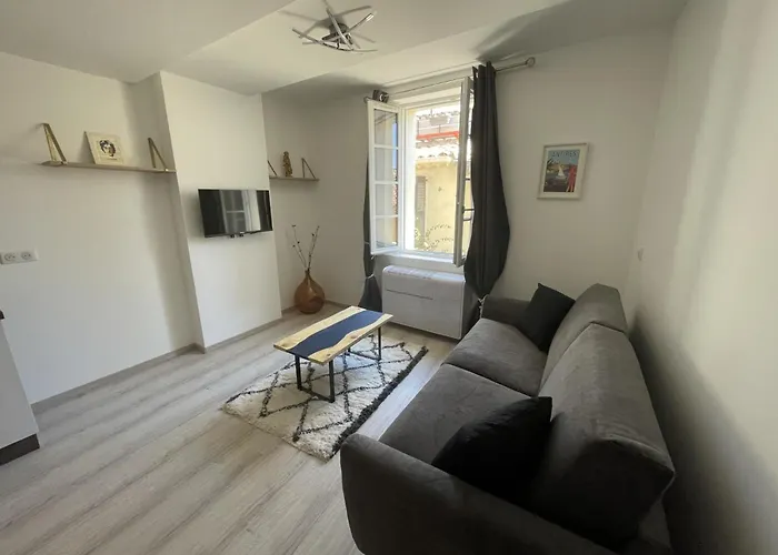 Spacieux - Vieil Appartement Antibes